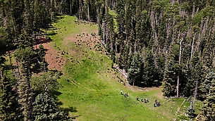 Hike to Hunt Comes to Angel Fire, NM!
